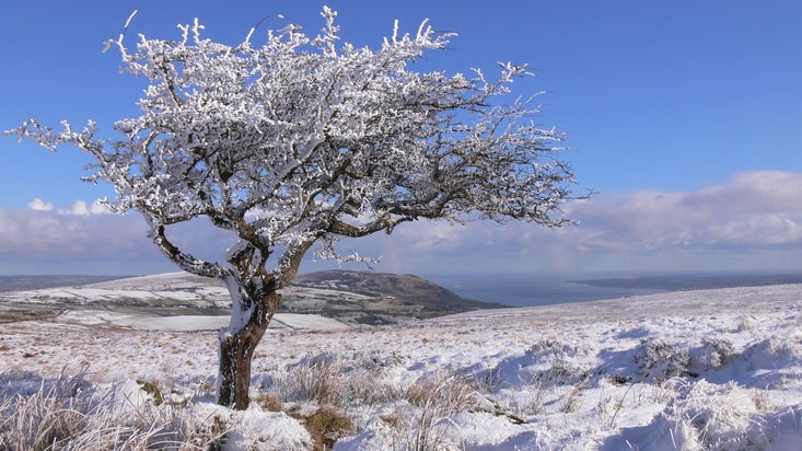 Divis Mountain in snow